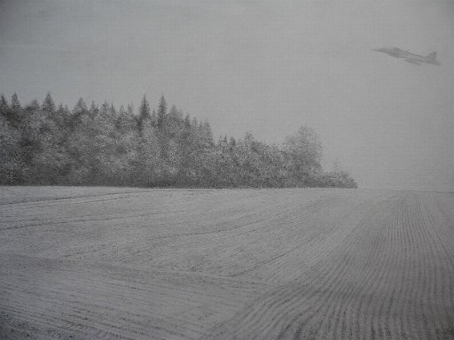 Aufgeräumte Landschaft mit Tiefflieger