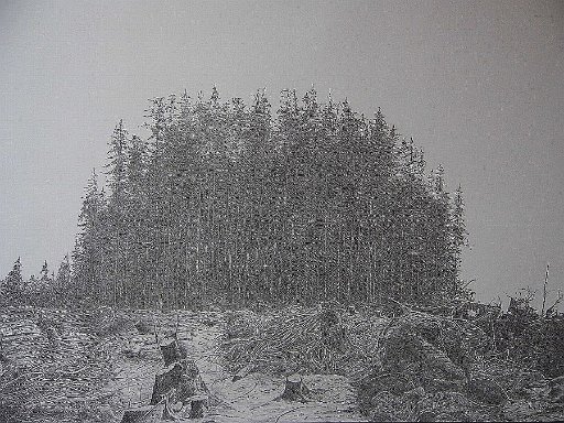 Das letzte Häuflein Aufrechter